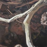 Drzewo I (Kalina Wojciechowicz, artystka), prace te zrobiły na mnie ogromne wrażenie; jestem urzeczony delikatnością i niejednoznacznością obrazów...