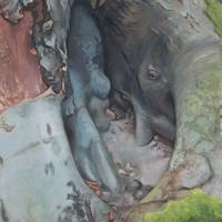 Drzewo II (Kalina Wojciechowicz, artystka)