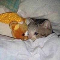 me