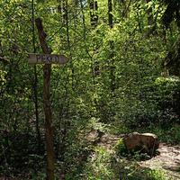 Tucholski Park Krajobrazowy