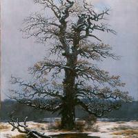 Dąb na śniegu (1827), Caspar David Friedrich, https://pl.wikipedia.org/wiki/Caspar_David_Friedrich