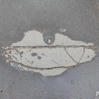 Świadectwo dobrego i pięknego Czasu...