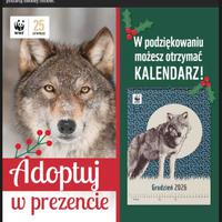 Po prostu... https://www.wwf.pl/pomagam/adopcje/wilk