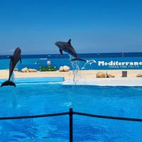 Mediterraneo Marine Park, Naxxar, Malta 🇲🇹