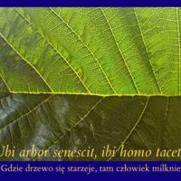 List'ek I