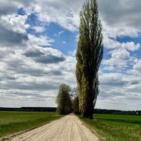 Gdzieś w drodze – okolice Dzierżanowa