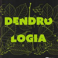 Inspiratorium Zindywidualizowanego Studium Myśli o Drzewach i Lasach | Nr 9 | z równoczesnym planowaniem wypraw do puszcz i borów polskich | w drodze do zarysowania pomysłu