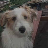 Moje bubu