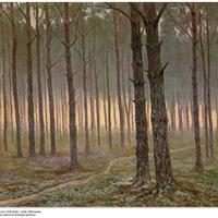 "Wnętrze lasu" pocztówka z: "Czarowny las..." (Źródło: https://www.lasy.gov.pl/pl/informacje/publikacje/do-poczytania/czarowny-las/czarowny_las.pdf)