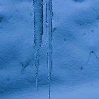 Grudzień - Dwójsoplowość Zimowa Wewnętrzna