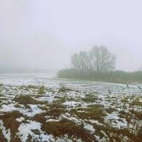 MGŁA grudnia, myśli, pragnień, marzeń, realiów, wirtualiów, wędrowania, dróg i rozdroży, Czasoprzestrzeni i Wieloświata... Niedopowiedzenie, niedookreślenie w-s-z-y-s-t-k-i-e-g-o