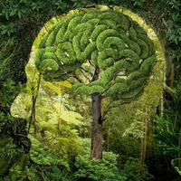 Źródło: http://www.igor.morski.pl/