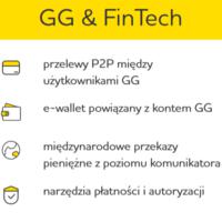 Pierwsze plany rozwojowe GG & FinTech