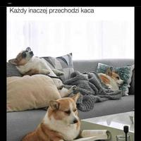 Kinga 