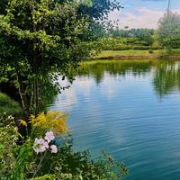 Staw na terenie Restauracji Czarny Staw