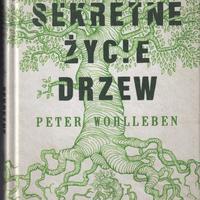 Inspiratorium Zindywidualizowanego Studium Myśli o Drzewach i Lasach | Nr 2 | z równoczesnym planowaniem wypraw do puszcz i borów polskich | w drodze do zarysowania pomysłu